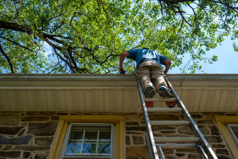 Climbing Ladder Safety