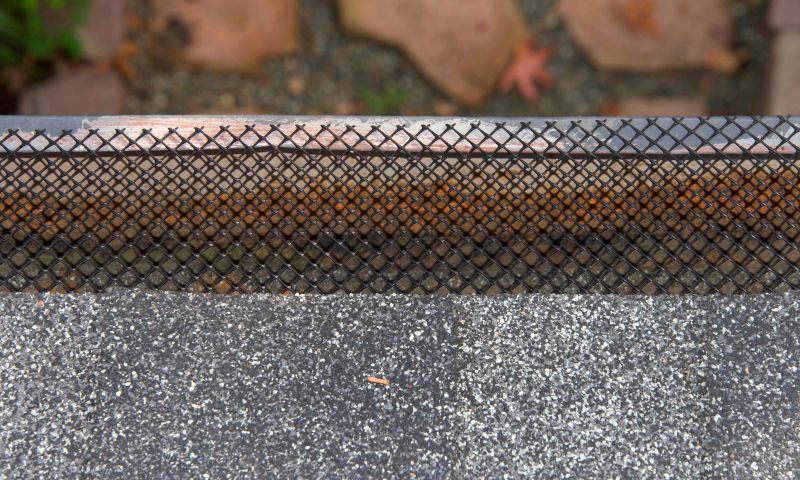 Installation of Gutter Guards